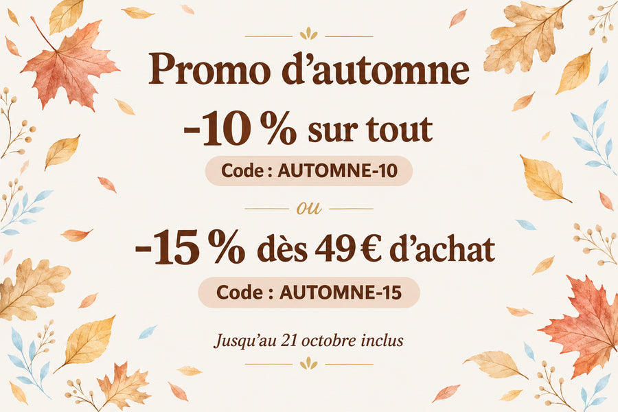 Bannière ordinateur pour la promotion d’automne